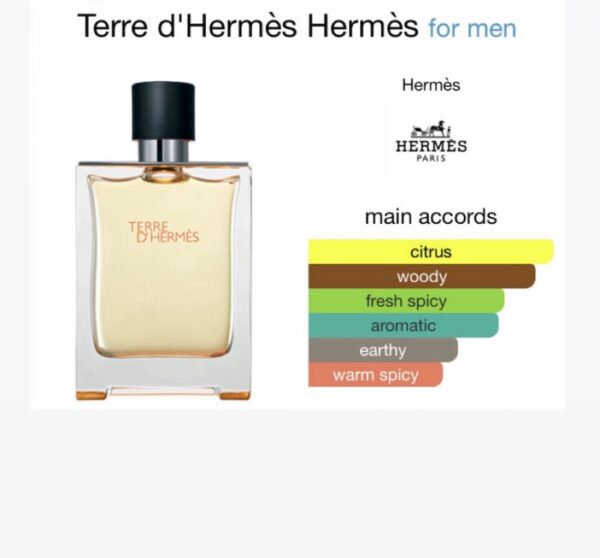 Tere D’Hermes