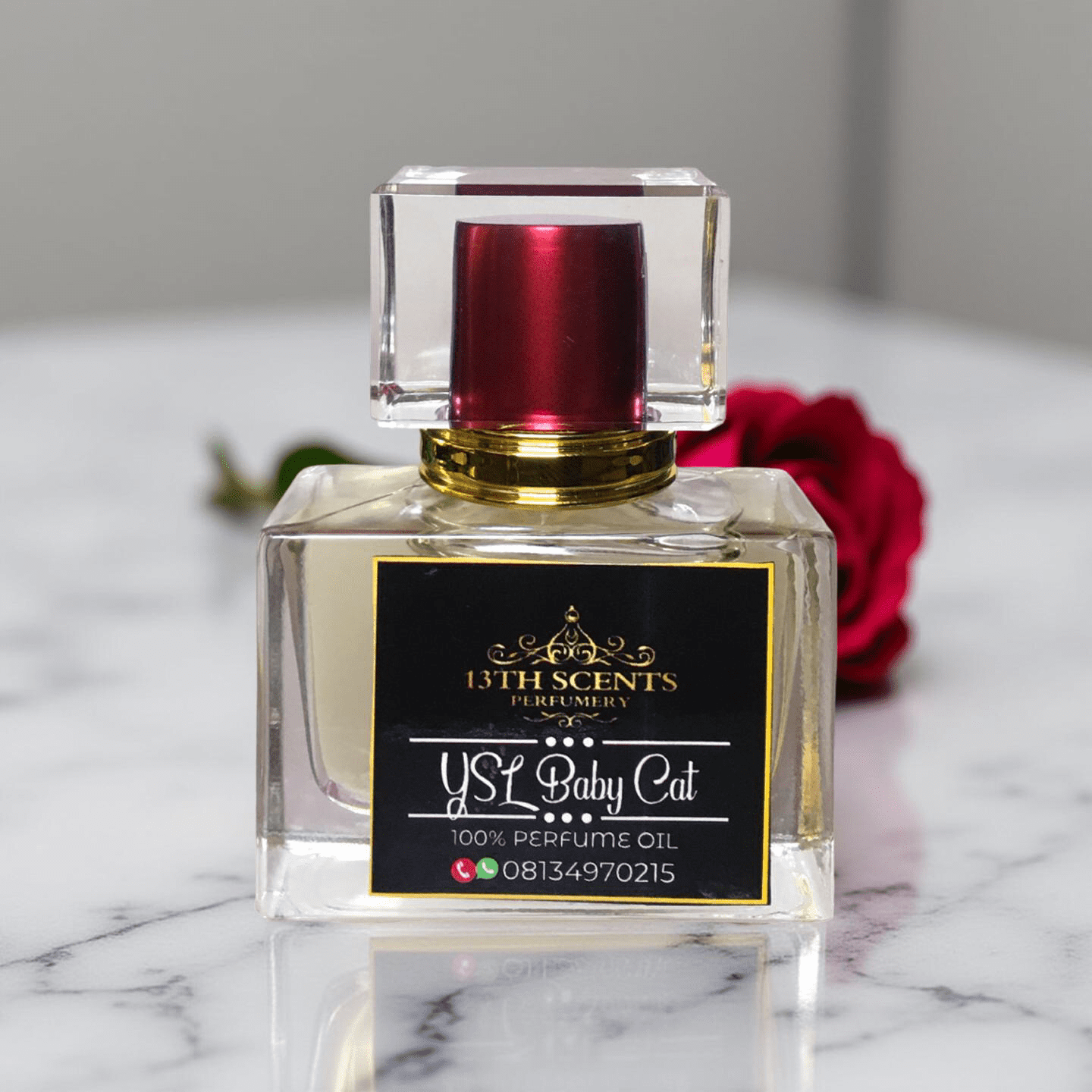 YSL Baby Cat - Image 4