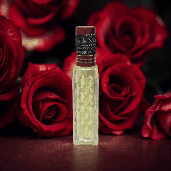Magnetic seduction - Image 2