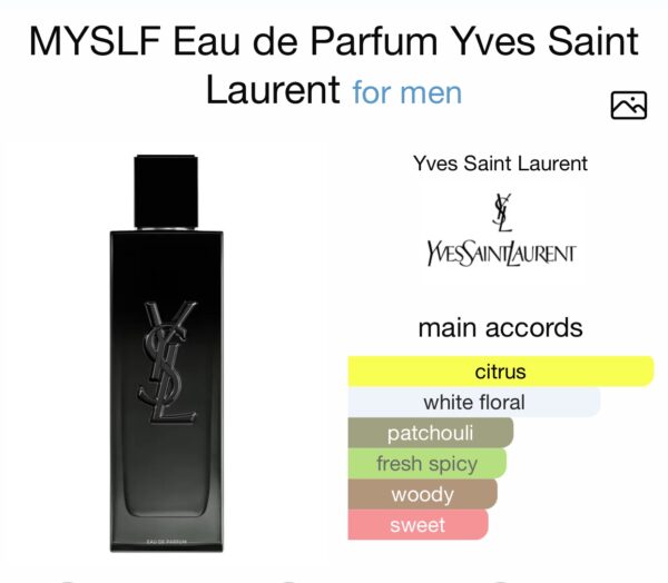 YSL Myslf