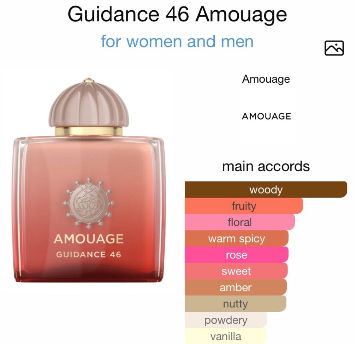 Amouage Guidance 46