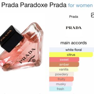 Prada Paradoxe
