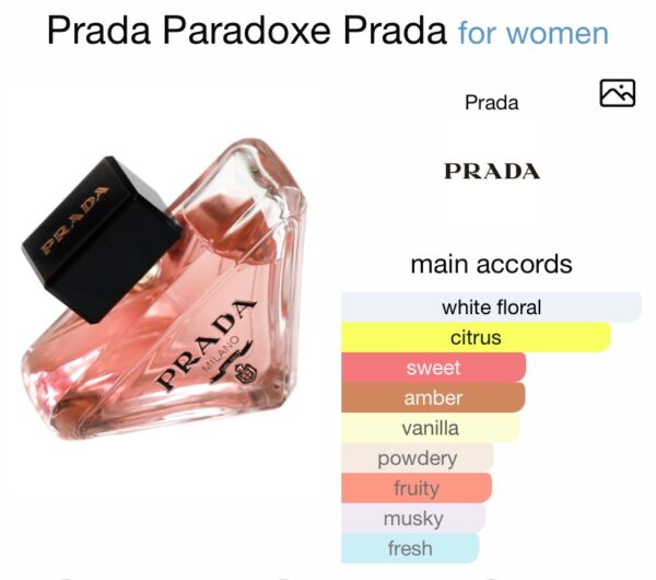 Prada Paradoxe
