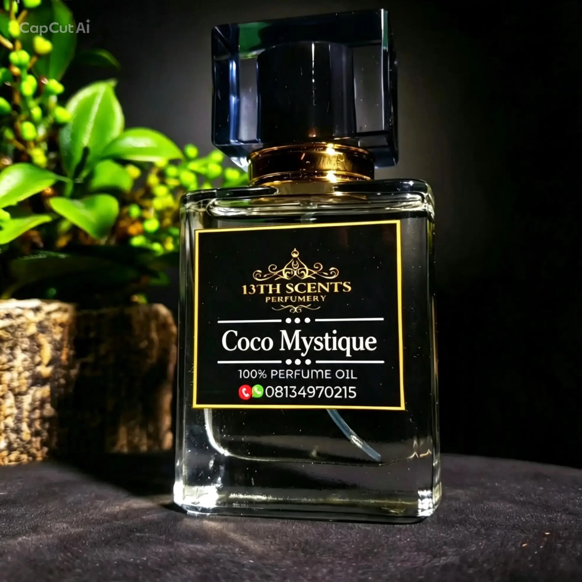 Coco Mystique - Image 2