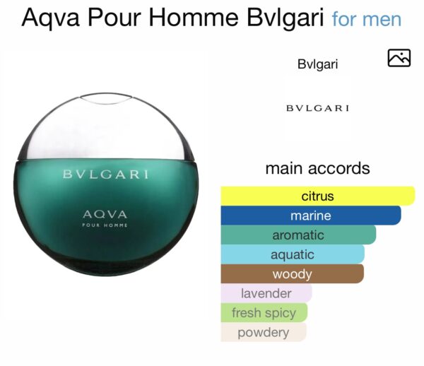 Aqua blue - Image 5