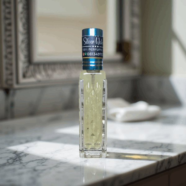 Silver water - Image 4