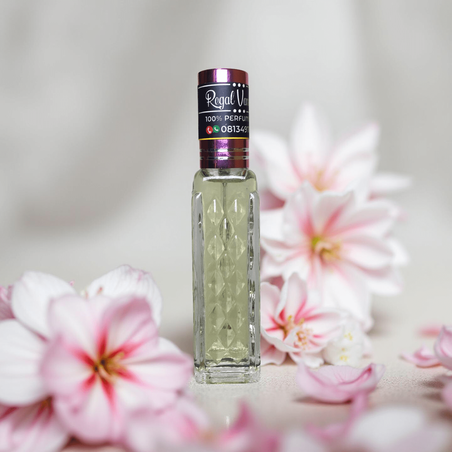 Regal vanille - Image 4
