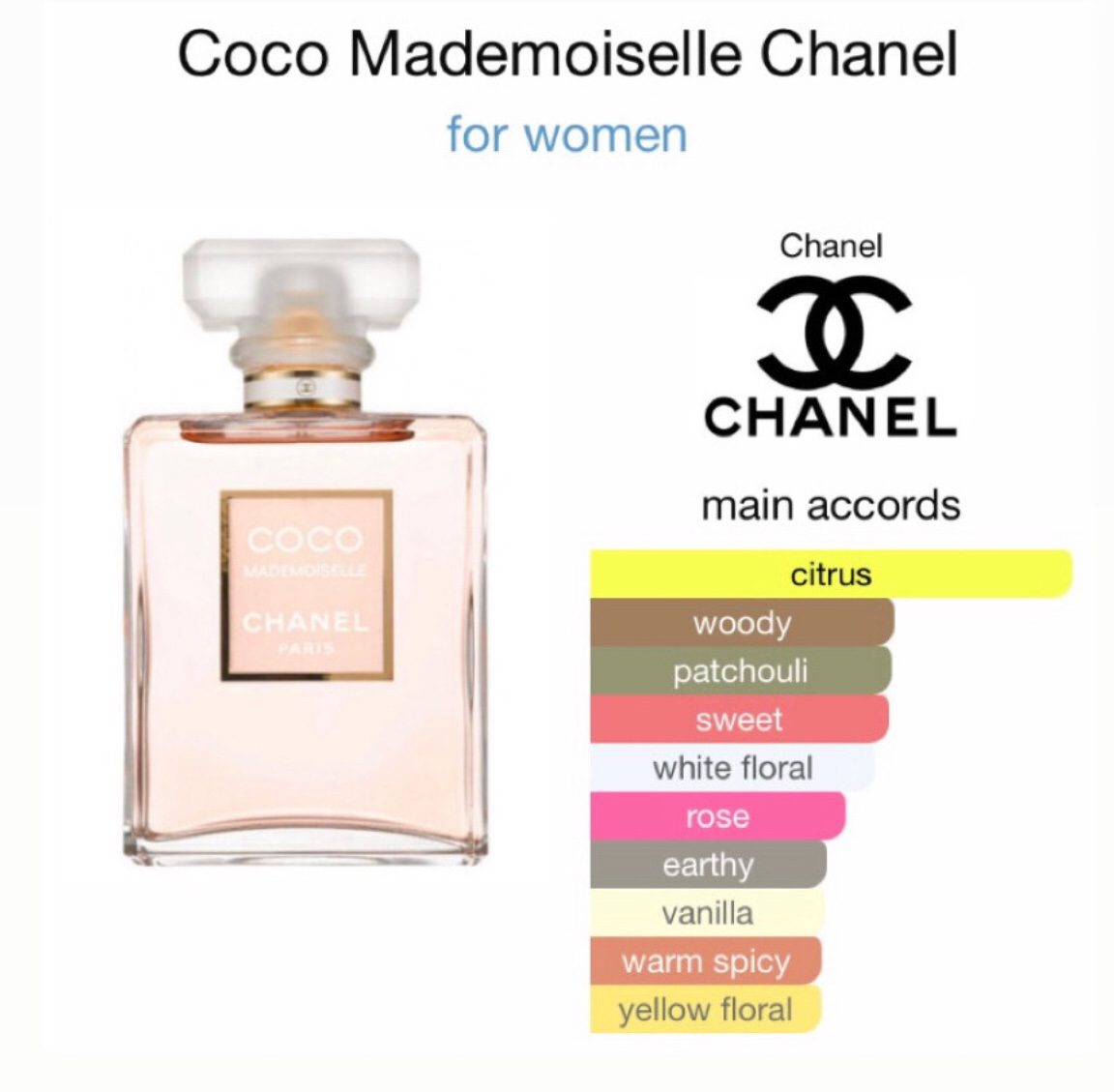 Rose orchid - Image 4