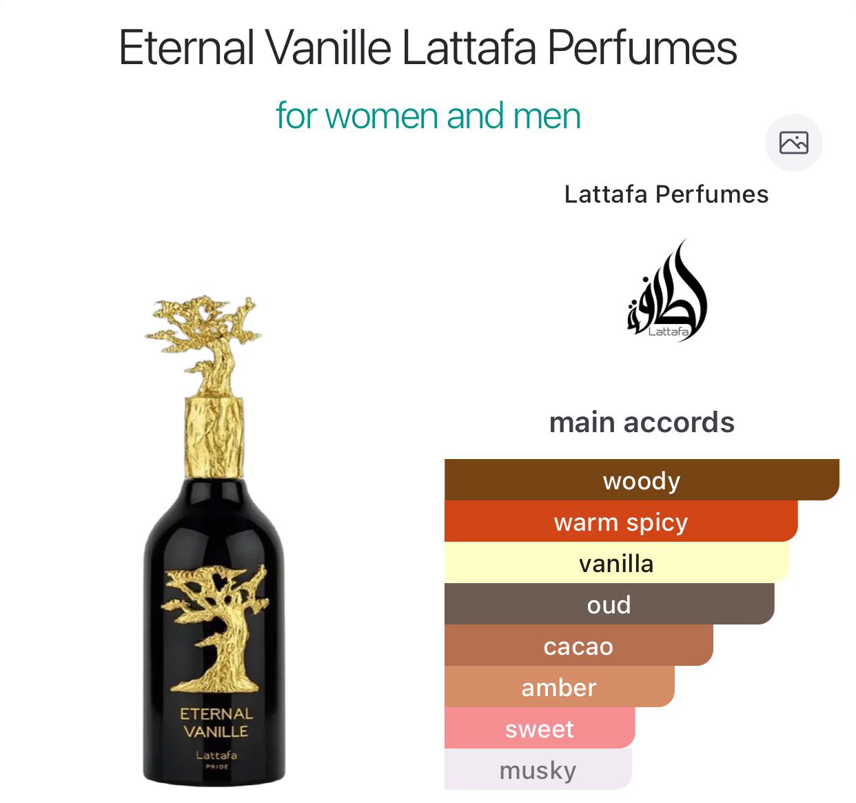 Eternal Vanille EDP 100ml - Image 2