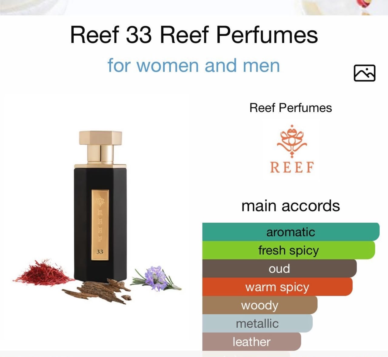 Reef 33 EDP 100ml - Image 2