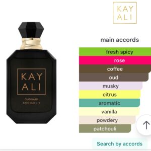 Kayali Oudgasm Oud 19