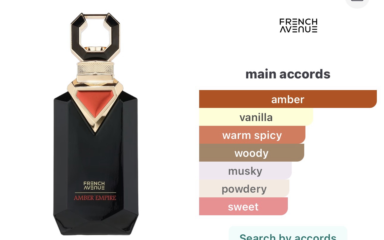 French avenue Amber empire EDP 100ml - Image 2